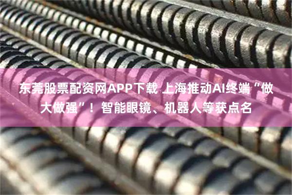 东莞股票配资网APP下载 上海推动AI终端“做大做强”！智能眼镜、机器人等获点名
