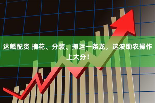 达麟配资 摘花、分装、搬运一条龙，这波助农操作上大分！